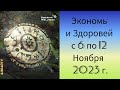 Экономь и Здоровей: что купить в Siberian Wellness с выгодой с 6 по 12 Ноября 2023 г.