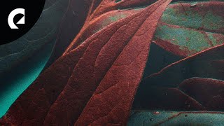 Bladverk Band - Folium (Royalty Free Jazz)