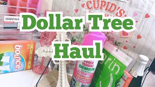 Dollar Tree Haul | Budget-Friendly| New | Amazing Finds #dollartreehaul #dollartree #budget