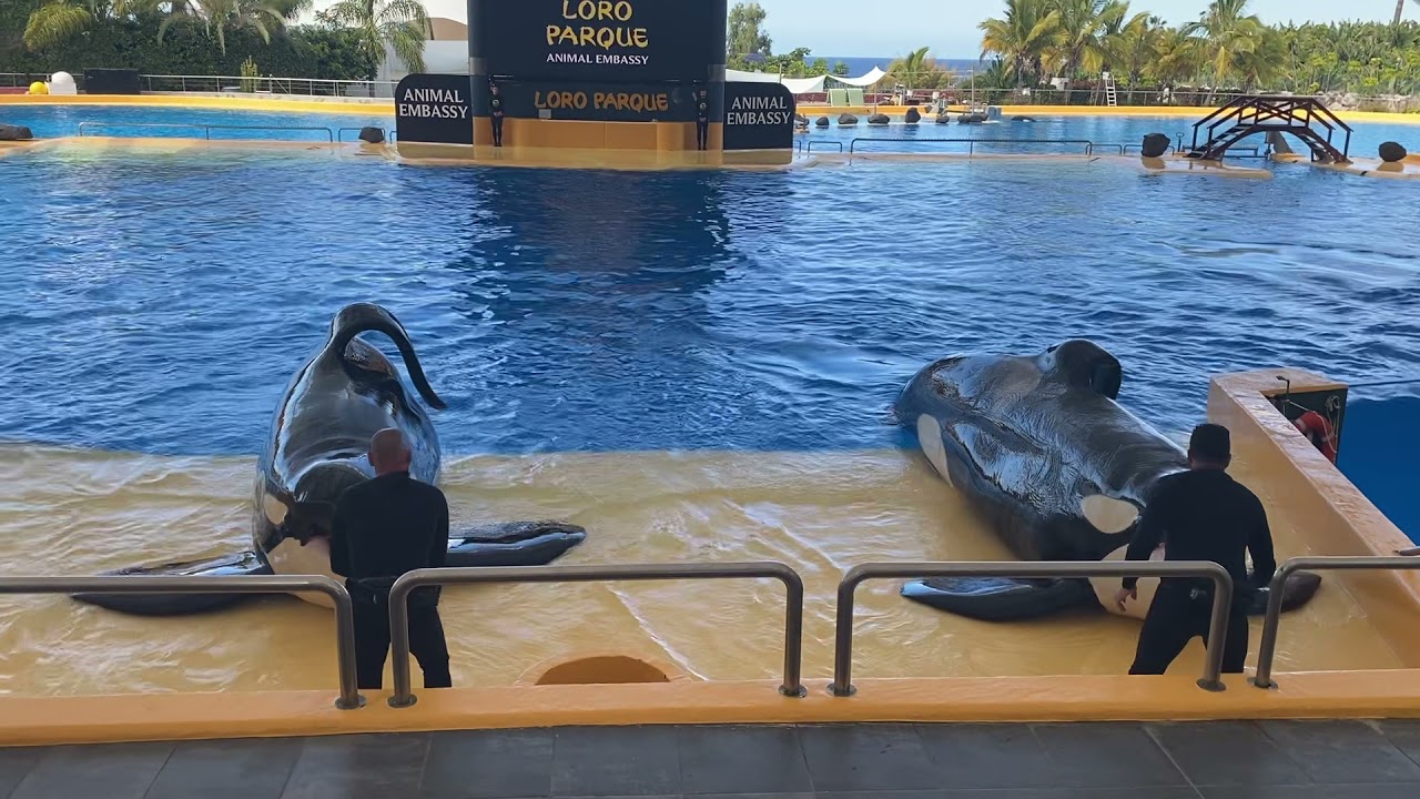 Loro Parque
