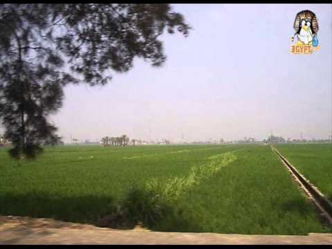 تعيشى يابلدى