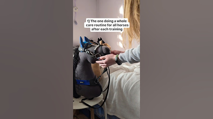 WHICH ONE ARE YOU? 😂 #hobbyhorse #hobbyhorsing #horses #fyp #therian #funny #athlete #sports #gym