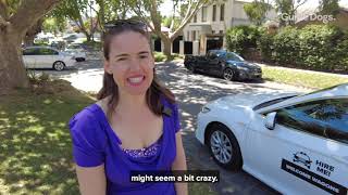 Erin - The Importance of Accessibility