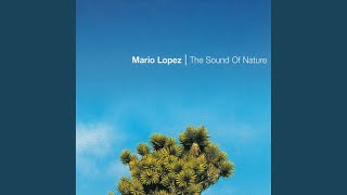 The Sound of Nature (Lightforce Radio Cut)