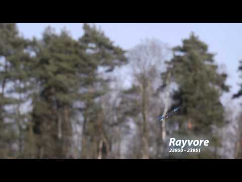 23950-23951 RevellControl Rayvore