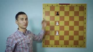 Как ходит ладья, слон и ферзь - шахматы для начинающих Как ходит ладья, слон и ферзь - шахматы для начинающих