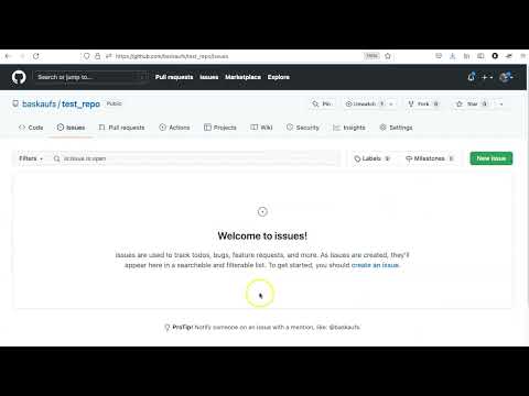 041c Creating a GitHub issue