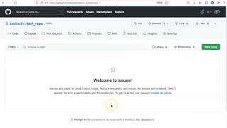 041c Creating a GitHub issue