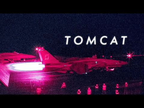 End of an era   |  A F-14 Tomcat edit