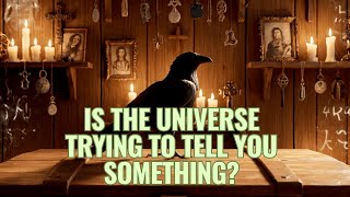 What REALLY Happens When a Bird Flies Into Your House