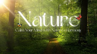 Relaxing Garden Walk at Brookside Gardens 🌿 | Calming Nature Sounds for Stress Relief