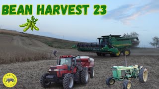 Bean Harvest (John Deere 9670 STS)