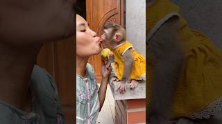 Mochi really enjoys being fed by her mother. #monkey