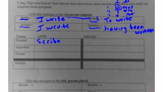 Latin 2 Synopsis
