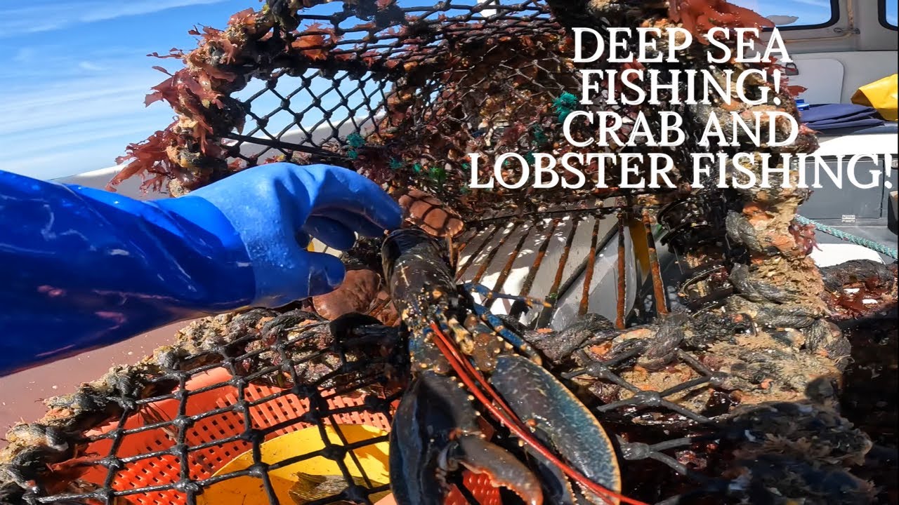 Crabbing and Lobster Fishing Hauling Monsters From The Deep Sea