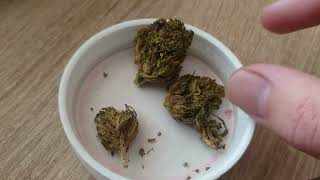 Drapalin Batha Balanced 1011 Hybrid