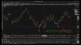 EWT Beginner's Circle Weekly Webinar - hosted by Zac