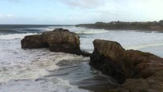 Natural Bridges Santa Cruz Ca 1