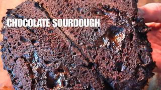 Double Chocolate Sourdough Bread — Real Starter, Real Results screenshot 3