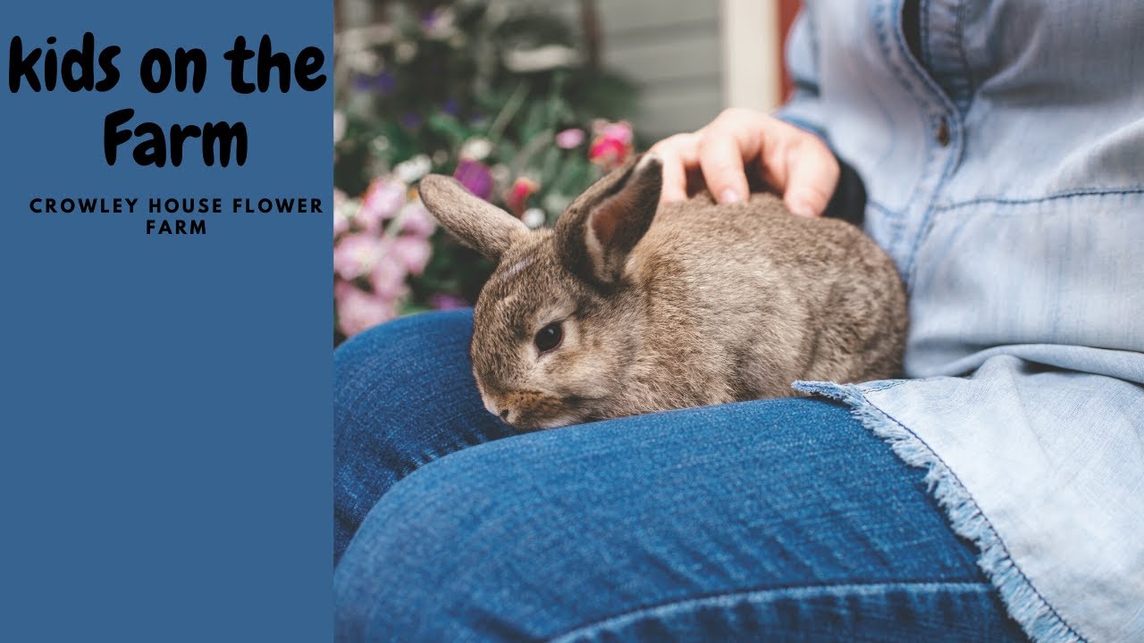 A day in the country - Planting a spring garden with kids