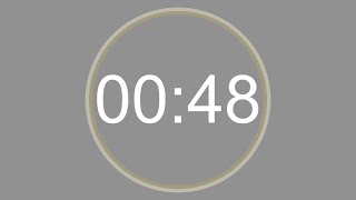 48 SECONDS - 4K - COUNTDOWN IN REVERSE - SECOND TIMER -