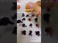 これから宜しくお願いします☺️