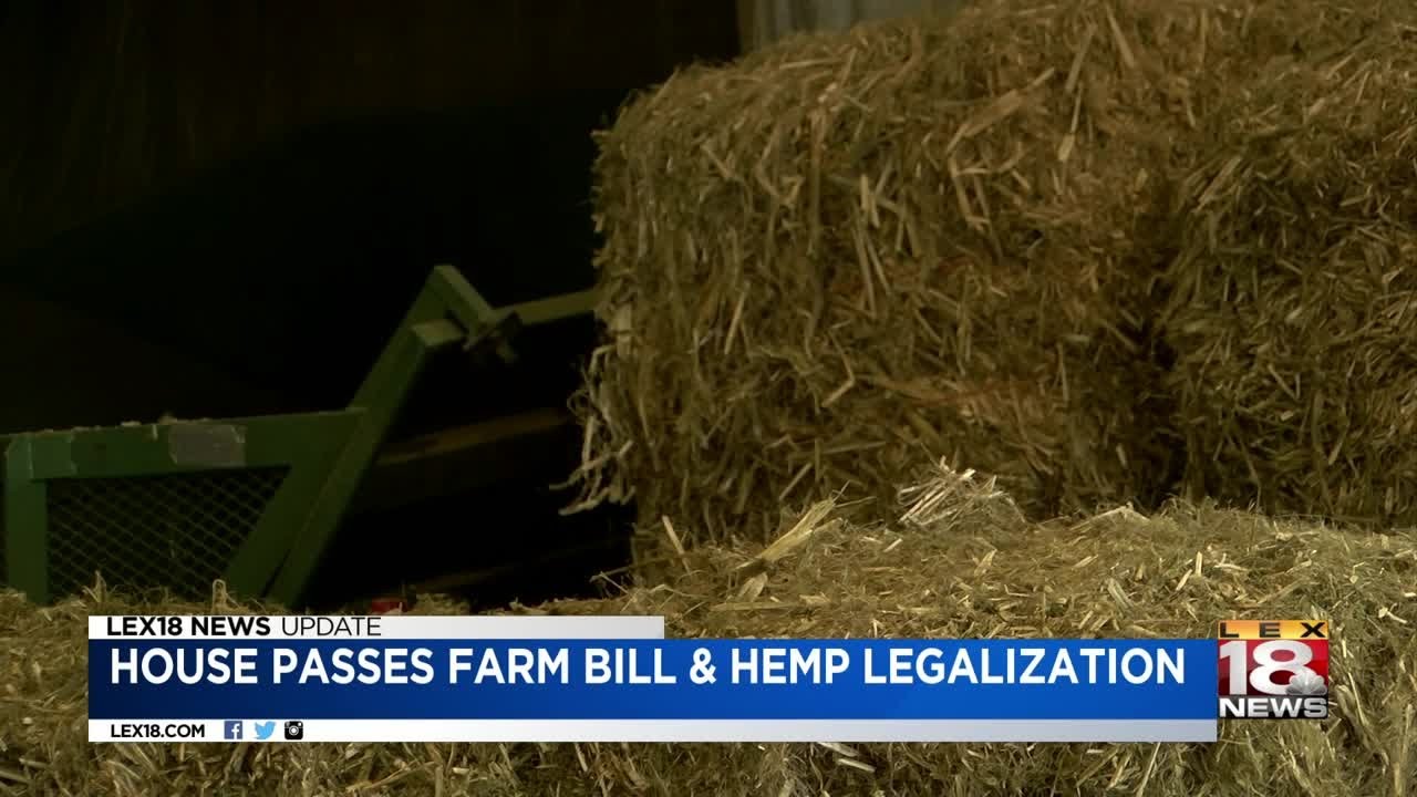 House Passes Farm Bill & Hemp Legalization - YouTube