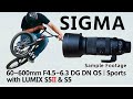 SIGMA 60-600mm F4.5-6.3 DG DN OS | Sports with LUMIX S5II & S5 Sample Footage