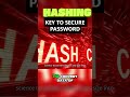 How Hashing Protects Your Passwords 🔐