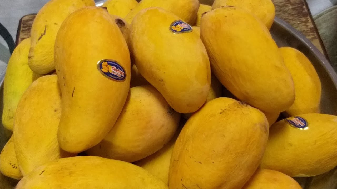Pakistani Mangoes in Dubai YouTube