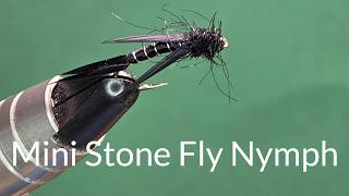 Mini Stone Fly Nymph - One Fly A Day