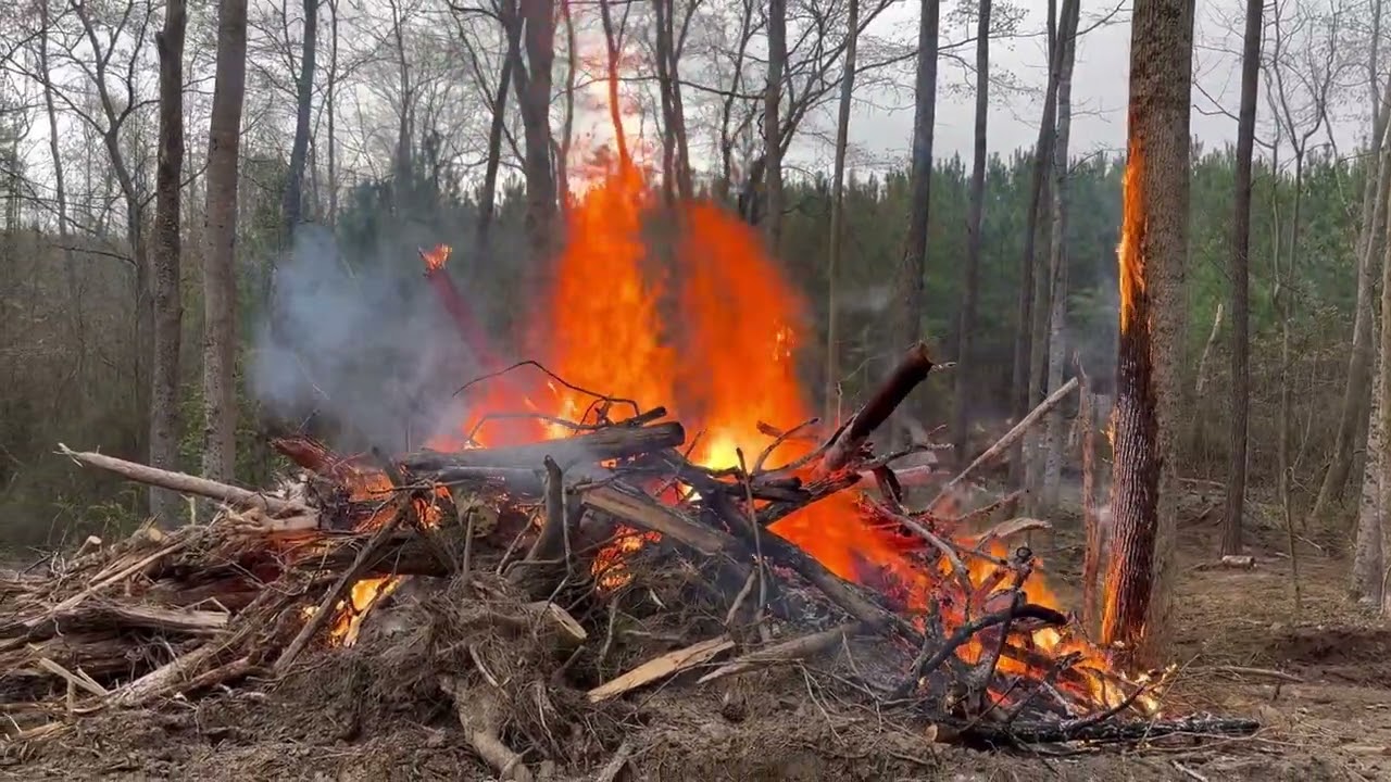 Why do we love fire comment below.. 