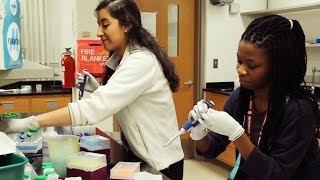 Jim Holland Summer Enrichment Program