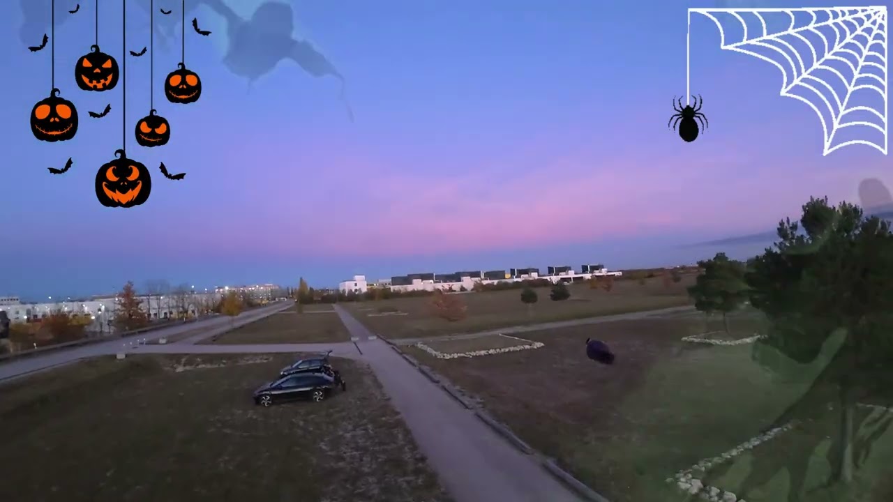 Halloweenflug 🦇 🎃