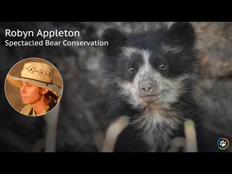 Spectacled Bear Conservation