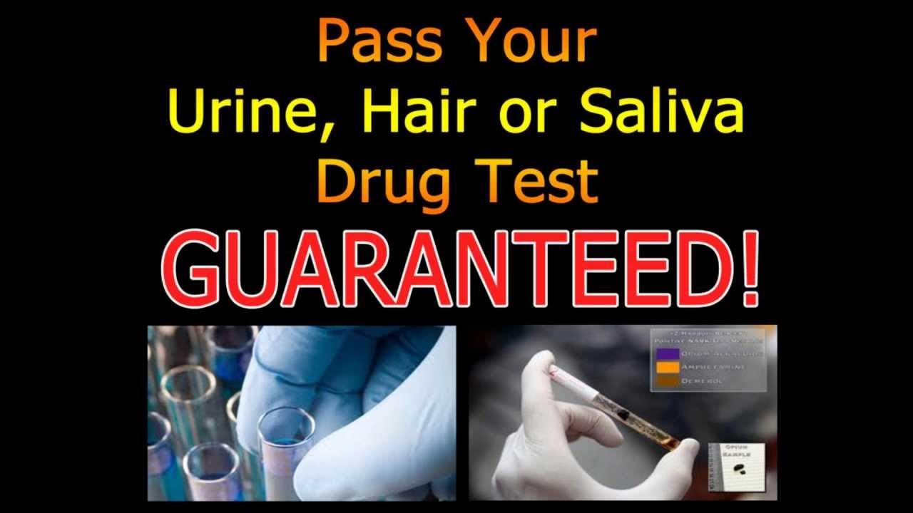 Natural Ways To Pass A Drug Test How to Pass a Drug Test - Best Way Passing a Drug Test Guaranteed