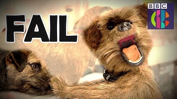 Dog Bloopers and Outtakes Reel! | CBBC