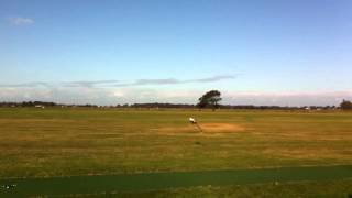 Trex 450 Pro Crazy Headspeed