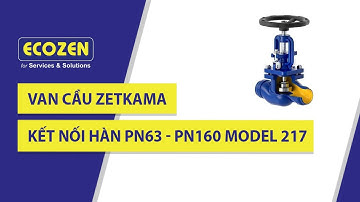 Van cầu Zetkama kết nối hàn PN63 - PN160 Model 217