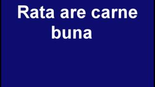 Rata are carne buna (official music)