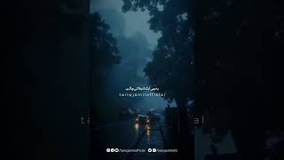 Sabr is not just patience, it is trust in Allah’s plan. Even in difficult moments, remember that eve