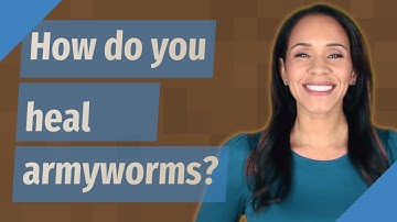 How do you heal armyworms?