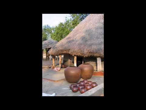 Thabo Seremi - Tau tsa hlokaseboka