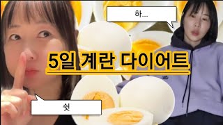 🚨5일 계란다이어트 도전한 자매들!!🚨🥚계란 🥚다이어트 효과는???🔥(feat: 누가누가 더 빠졌나)🔥