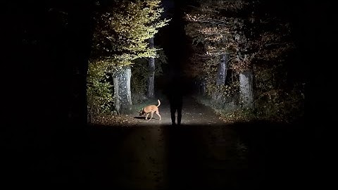 FENIX HM60R V2 Triple Output Headlight Extended Review& Outdoor Beamshots 1600 Lumen & 170m of Throw