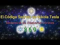 El Código Secreto de Nikola Tesla 3 6 9 - Ley de Atracción