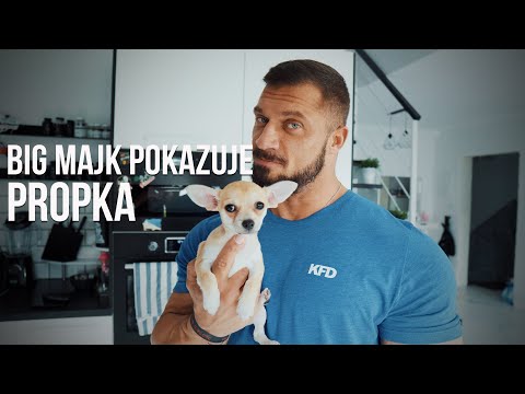 BIG MAJK POKAZUJE PROPKA