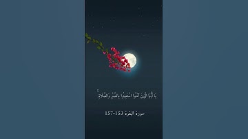 ايات الحفظ سورة البقرة (153-157 )بصوت عبد الرحمن حسن للصف السادس العلمي 🩵
