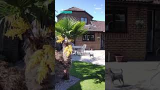 Dad Has His Croissant Stolen By A Red Kite