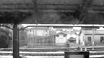 Pozdam - How To Suffer (Official Video)